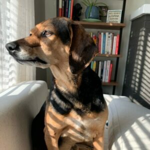 Profile photo of mara.dodson@gmail.com